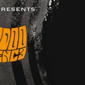 A Voodoo Experience
